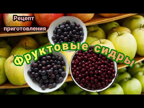 Видео: Фруктовые сидры с добавлением вишни и сливы. Рецепт приготовления. #cider #сидр 