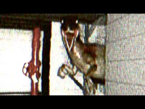 Видео: Инцидент в сарае (найденная видеозапись)