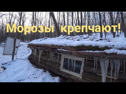 Видео: Мыши капитулировали. Первый лёд. Делаю кухню. Морозы крепчают.