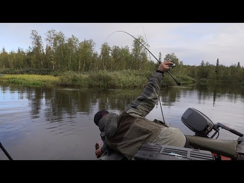 Видео: TWITCHING PRO - подробно об одной из самых популярных серий.