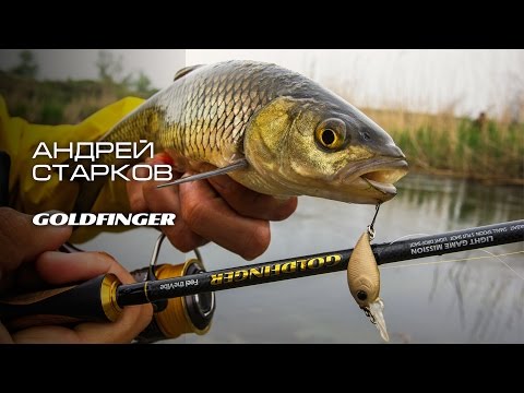 Видео: "Голавль малых рек". Nautilus Goldfinger и Андрей Старков.