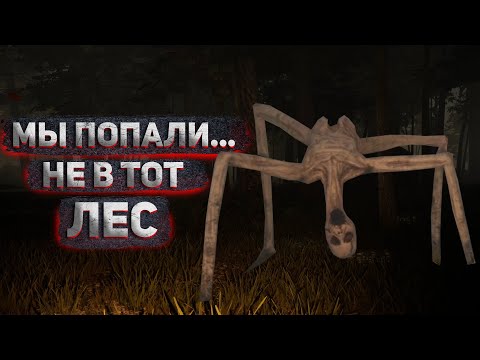 Видео: ОБОСРАТУШКИ В ЛЕСУ ➤ Veneficium прохождение