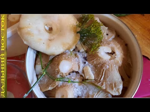 Видео: Самый вкусный сухой(холодный) посол сырых груздей
