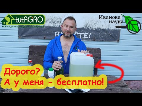 Видео: ВЫРАЩИВАЕМ ПРЕПАРАТЫ САМИ ВЕДРАМИ (правда!) на... ХЛОРЕЛЛЕ! Хлорелла-помощница!