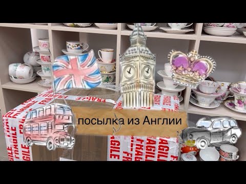 Видео: впервые посылка из Англии 🏴󠁧󠁢󠁥󠁮󠁧󠁿 роузболы и кодлеры 🫖