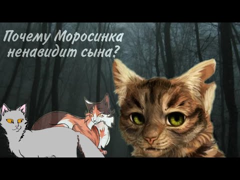Видео: За что Моросинка не любит Метеора? | Теория про Котов воителей 2-й выпуск  (Чит. Описание )