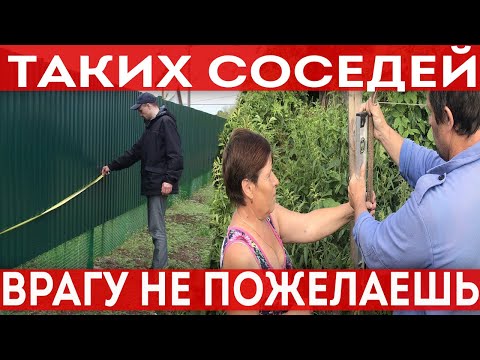 Видео: Таких соседей врагу не пожелаешь. Как портят жизнь соседи.
