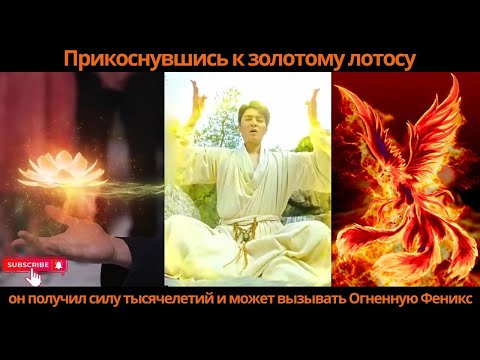 Видео: Прикоснувшись к золотому лотосу, он получил силу тысячелетий и может вызывать Огненную Феникс