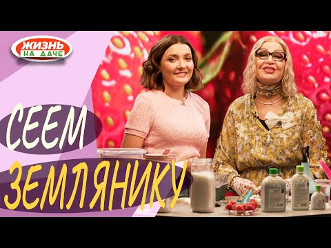 Видео: Сеем землянику! Урожай уже в этом сезоне.