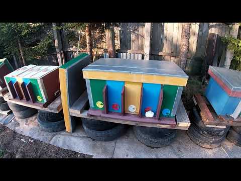 Видео: Ульи с помойки.