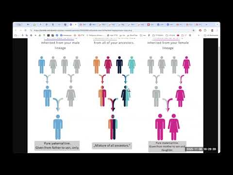 Видео: Кому робити Y-DNA тест? [FamilyTreeDNA]