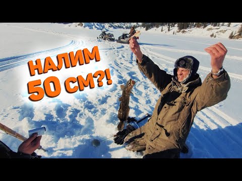 Видео: САНЯ НА РЫБАЛКЕ В СИБИРСКОЙ ТАЙГЕ