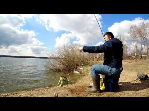 Видео: Тилапия Нововоронежской АЭС|Фидерная Рыбалка 2021