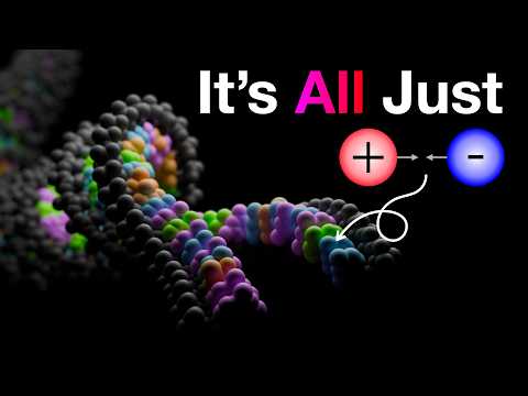 Видео: Это физическое правило легло в основу биологического языка. Вот как. | EoB Ch1