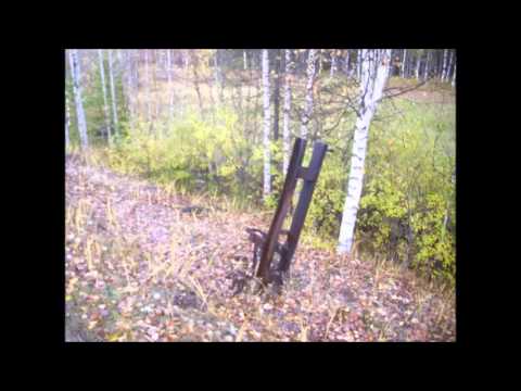 Видео: Сорда-Крутоборка