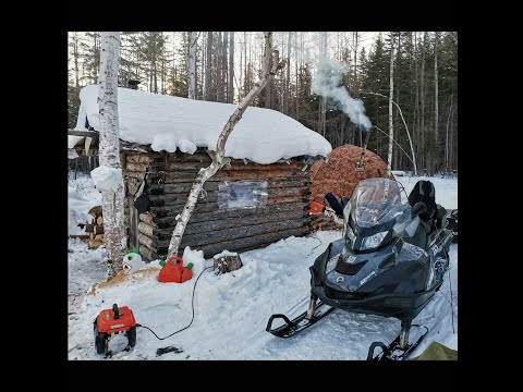 Видео: В погоне за зимними ТАЙМЕНЯМИ!