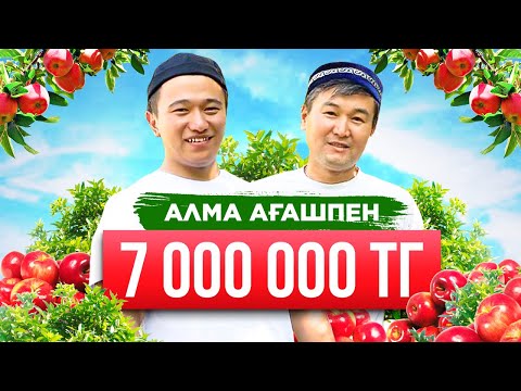 Видео: Алма өсіру технологиясы. Бір сезонда 7 000 000 теңге. Ауыл шаруашылығы. Алма бағы.