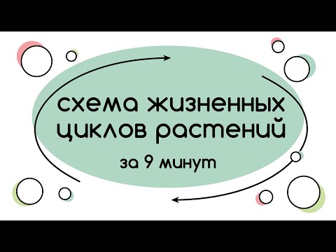 Видео: BioFamily: Общая схема жизненных циклов растений за 9 минут