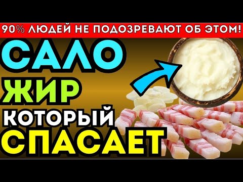 Видео: Почему врачи ошибались насчёт сала, о чем молчали.