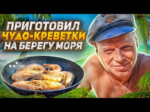 Видео: КУПИЛИ РЫБУ КРЕВЕТКИ ПРИГОТОВИЛ ВКУСНЫЙ ОБЕД НА БЕРЕГУ МОРЯ