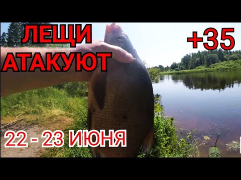 Видео: Аномальная Рыбалка с ночевкой в Аномальную Жару! ЛЕЩИ Атакуют в +35! 22-23 июня!