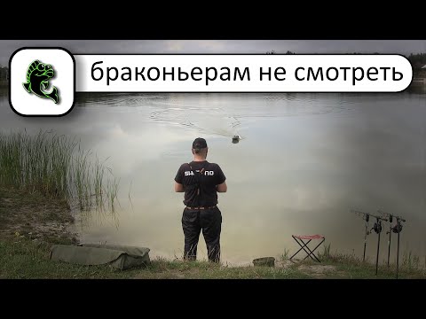 Видео: РЫБАЛКА НА КАРПА ночью ЛОВЛЯ КАРПА с корабликом