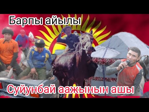 Видео: Барпы аштын улагы