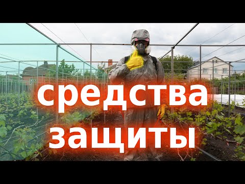 Видео: Средства защиты при обработке винограда. Это важно!