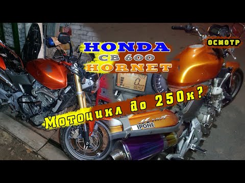 Видео: [Осмотр] 2 Хорнета / Первый мотоцикл до 250к