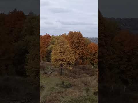 Видео: Смоленская крепостная стена, мощь и красота!