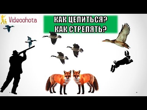 Видео: Как ПРАВИЛЬНО целиться и стрелять в дичь на охоте? Videoohota