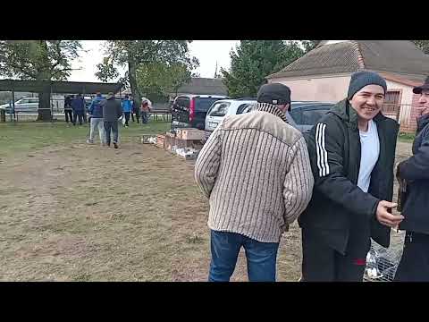 Видео: Молдова, с Карагасань, 05 10 25.