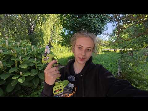 Видео: Акумуляторний секатор Procraft ES28Li: розпаковка, огляд і тест. Городні справи!