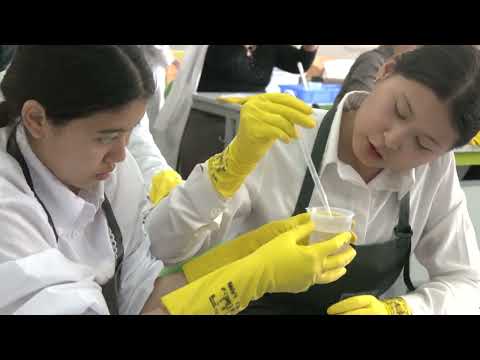 Видео: Тақырыбы:"Жасуша мембранасына әртүрлі факторлардың әсері"зертханалық жұмыс.