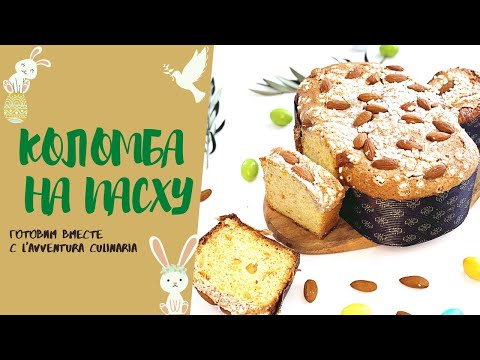 Видео: РЕЦЕПТ КОЛОМБА | РЕЦЕПТ ИТАЛЬЯНСКОГО КУЛИЧА | РЕЦЕПТ КОЛОМБЫ НА ЛЕВИТО МАДРЕ | #кулич #панеттоне