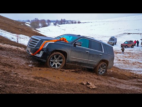 Видео: НЕОЖИДАННО! Мажор на Cadillac Escalade против НИВ, как нужно заезжать в гору