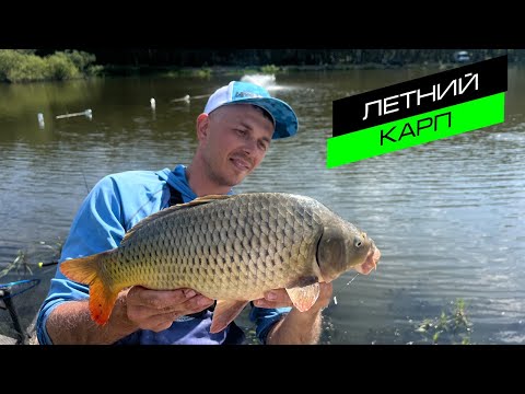 Видео: ЛОВЛЯ КАРПА / РЫБАЛКА НА ПЛАТНИКЕ / FROS FISHING