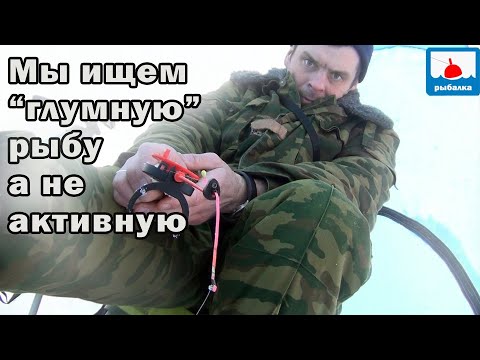 Видео: Переворачиваю мифы о зимней рыбалке дальше (моё мнение)+ рыбалка в мороз