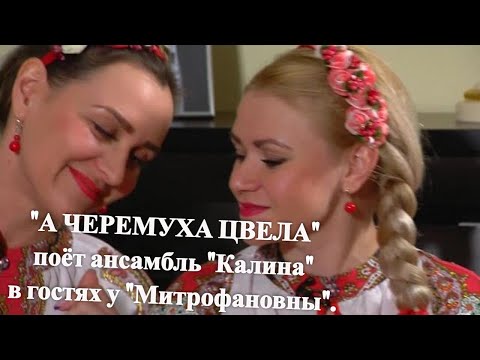 Видео: "А ЧЕРЕМУХА ЦВЕЛА" поёт ансамбль "Калина" в гостях у "Митрофановны".