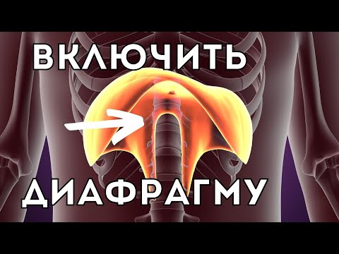 Видео: СПАЗМ ДИАФРАГМЫ, НАПРЯЖЕНИЕ ПОЯСНИЦЫ, ВАРИКОЗ, ПАНИЧЕСКИЕ АТАКИ ● 2 эффективных упражнения