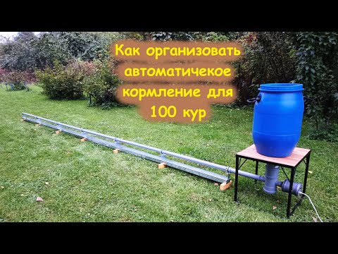Видео: Как организовать кормление для 100 кур / кормушка для кур #автокормушка #курица #село 
