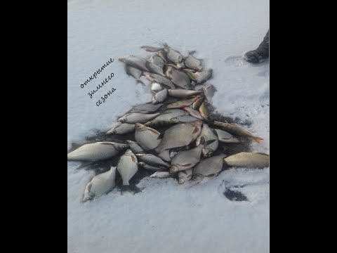 Видео: Рыбалка на леща и окуня, сезон 2020-2021 в Иркутске