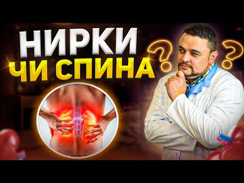 Видео: Біль в нирках чи біль в спині