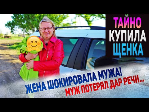 Видео: Щенок неожиданной породы! Никогда не догадаетесь!