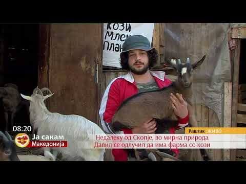 Видео: Во преубавото село Раштак Давид се одлучил да има фарма со кози