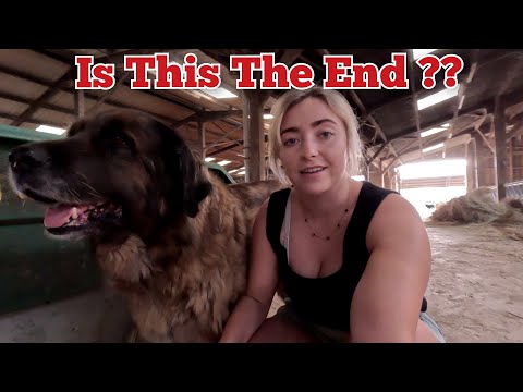 Видео: ЭТО КОНЕЦ??