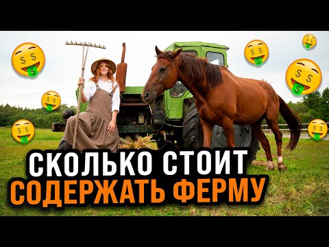 Видео: СКОЛЬКО ДЕНЕГ УХОДИТ НА СОДЕРЖАНИЕ ЖИВОТНЫХ У РЫЖЕГО ФЕРМЕРА