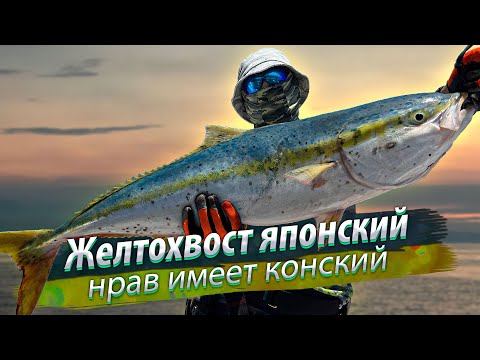 Видео: Слоу джиггинг В ОКЕАНЕ. Вот это рыбалка!