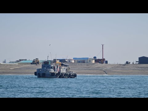 Видео: Устьевое