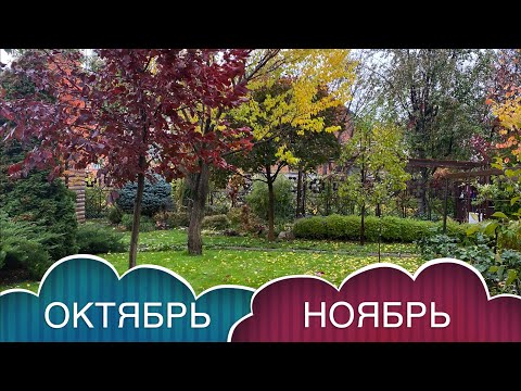 Видео: РАБОТЫ ДАЧНИКА В ОКТЯБРЕ - НОЯБРЕ